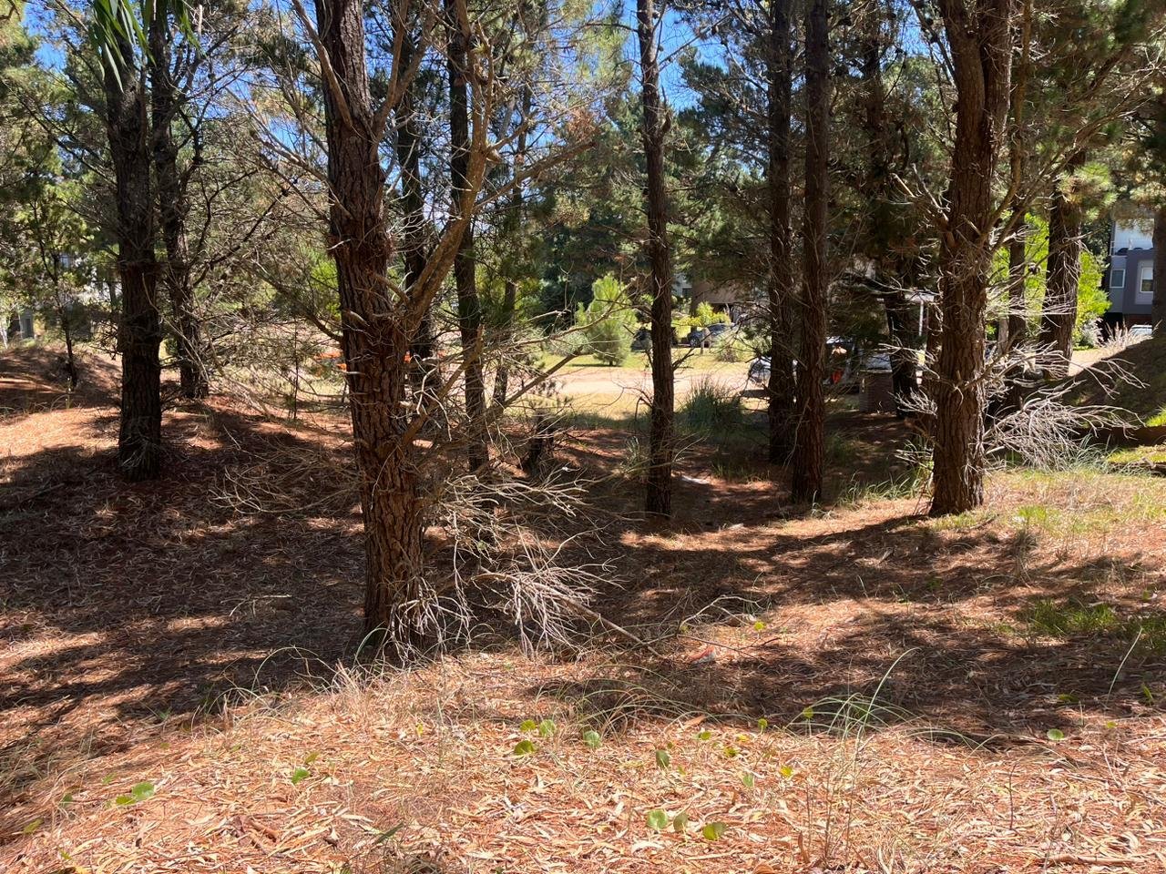 f918b394edf4623e574faee571262868