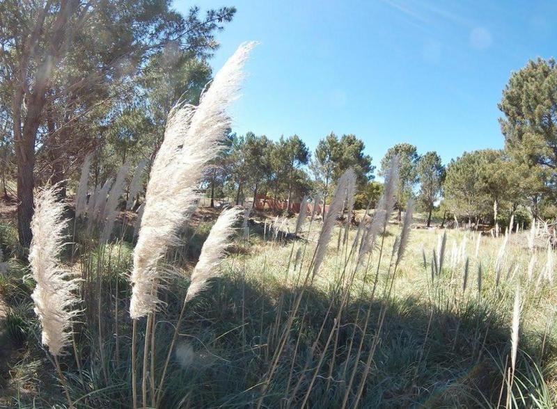 fa66a7c85e6418e135ff5aa0b38fcc97