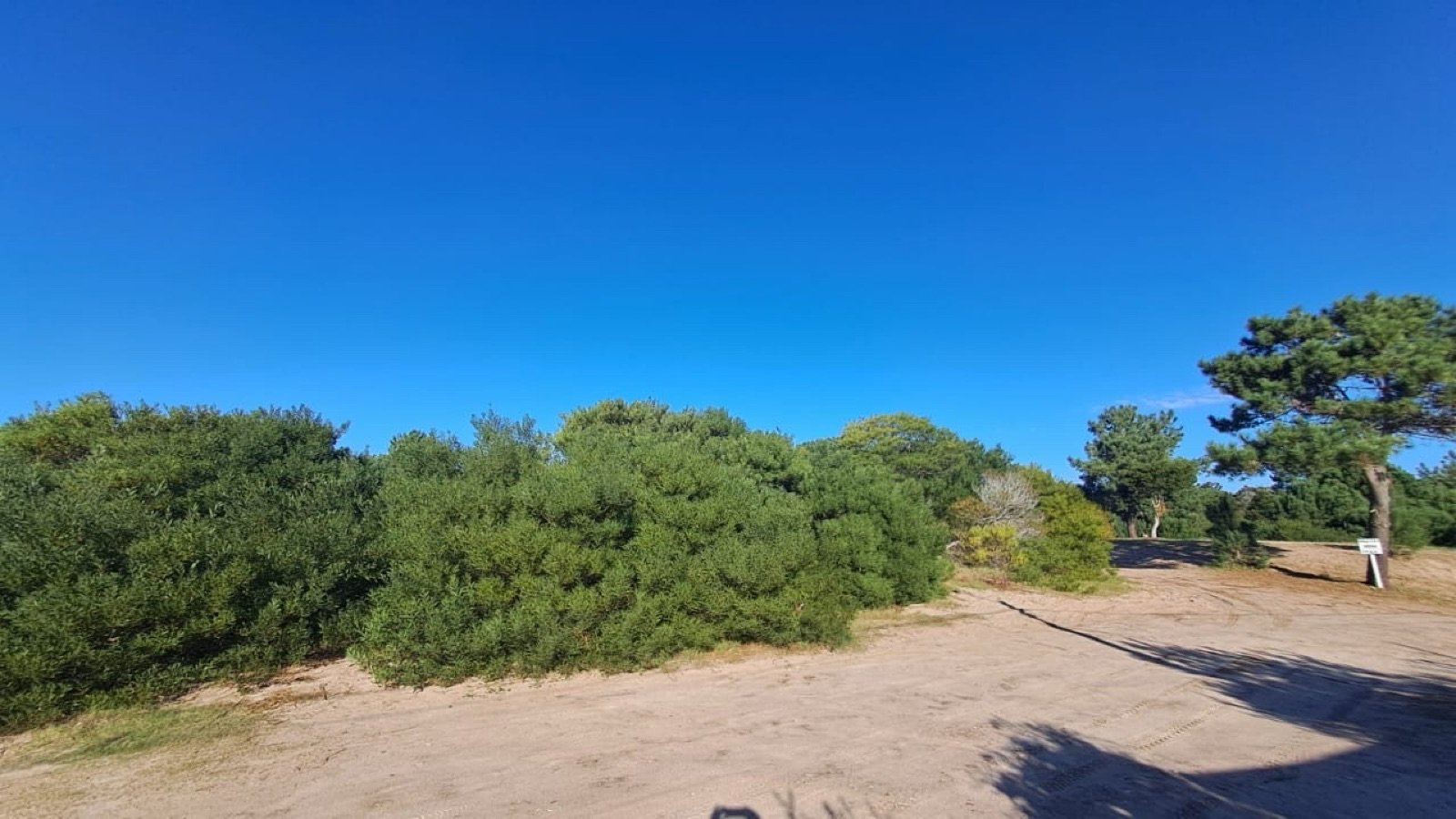 fccf855d0b5f0d0d9cd701ab199c679a