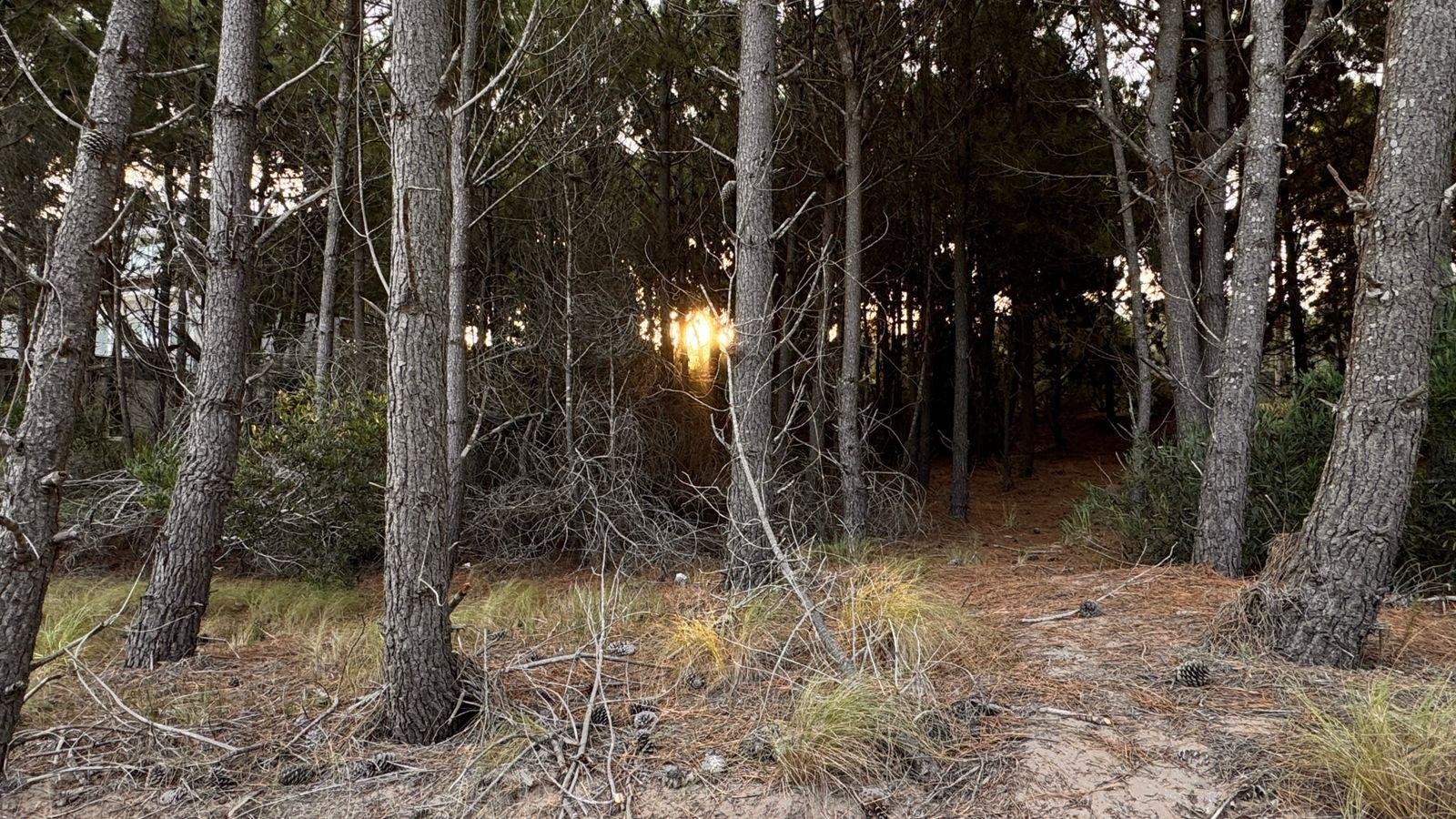 fd72da612dcfd89d6a4c6716b879511a